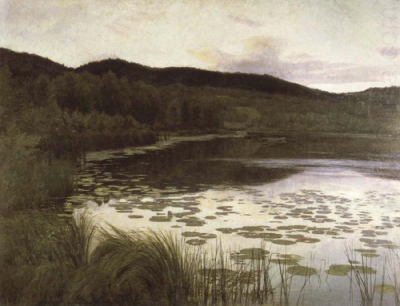 summer night, Kitty Kielland